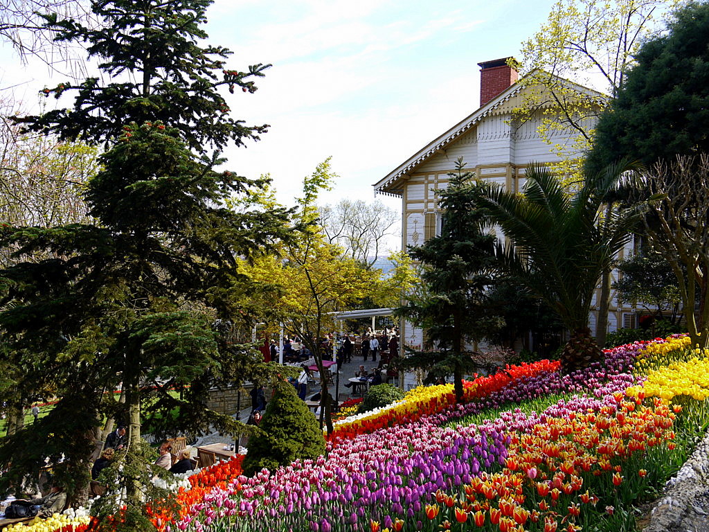 The tulip time in Istanbul